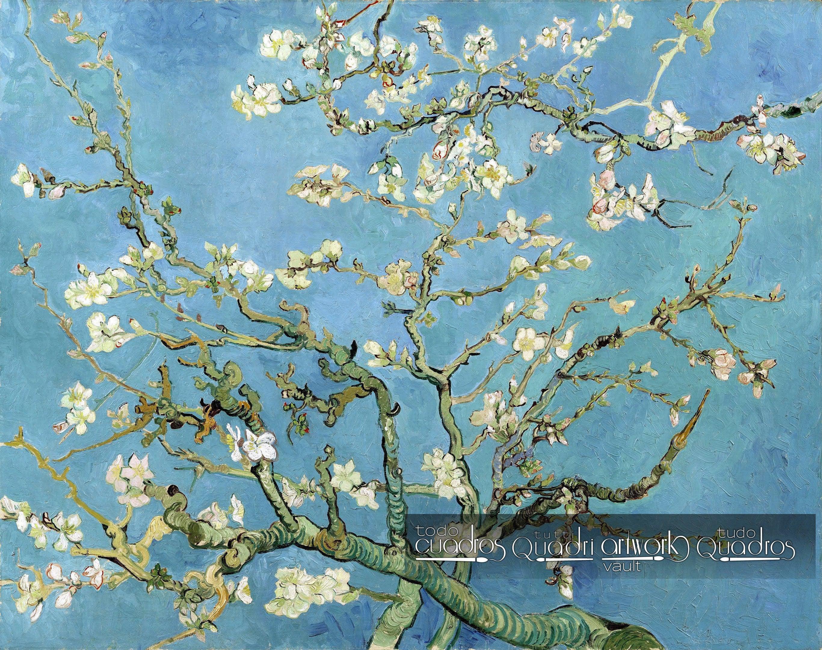 Amendoeira em Flor, Van Gogh